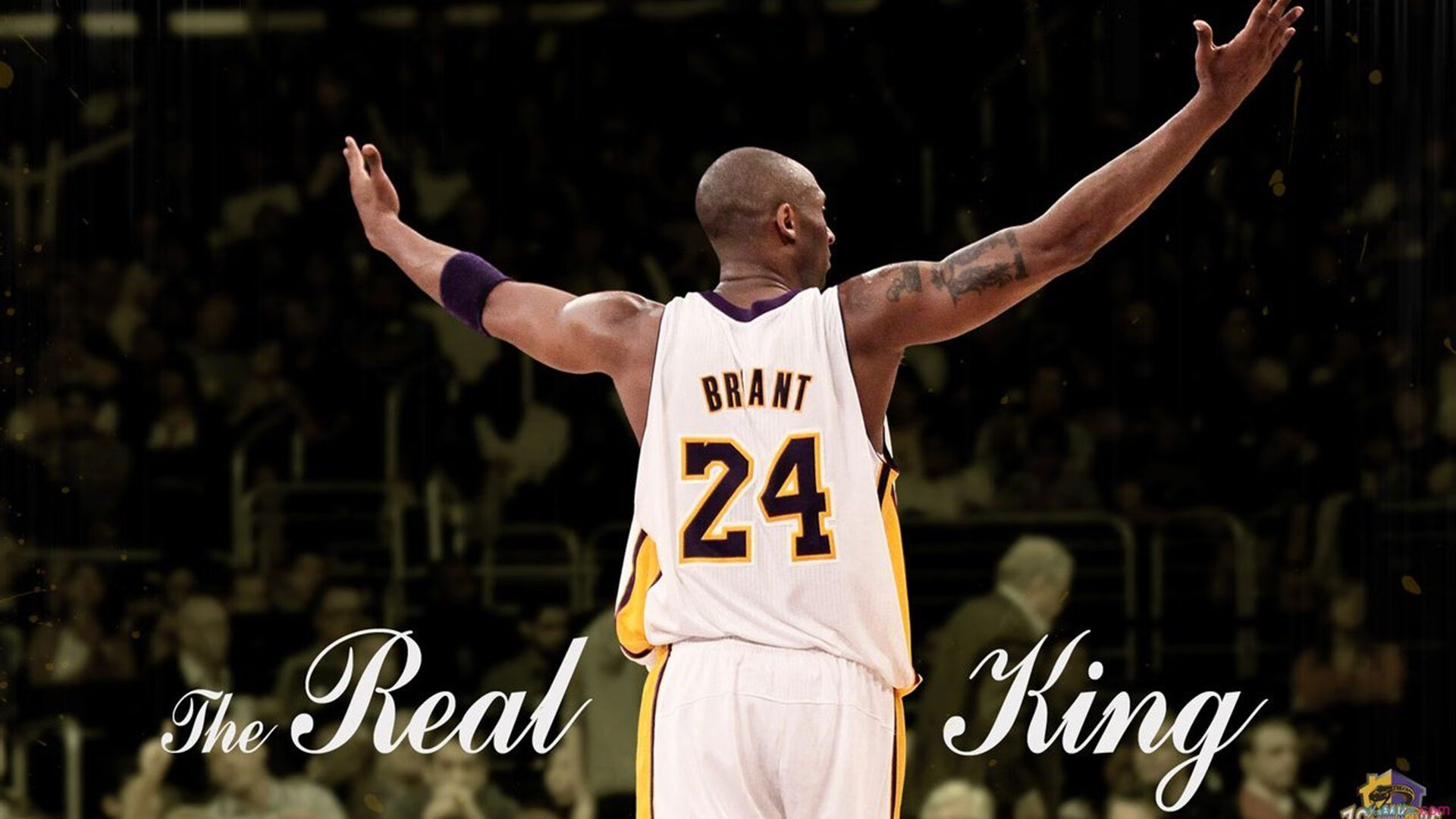 体育慈善盛典圆满落幕 众星携手助力青少年梦想