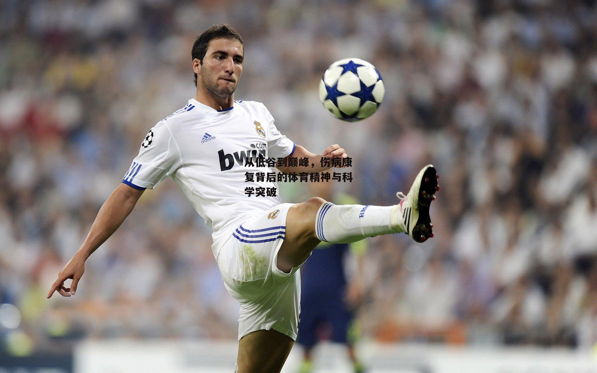 从低谷到巅峰，伤病康复背后的体育精神与科学突破